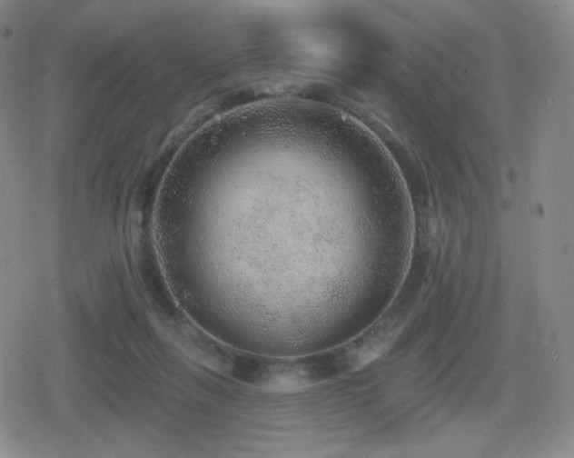 X0000080720263200612151206