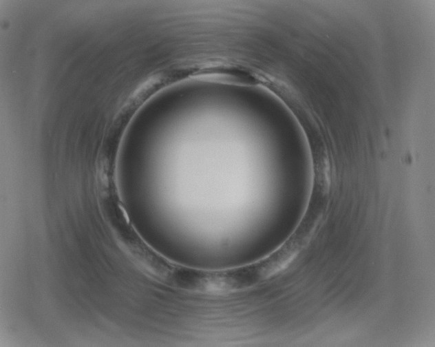 X0000080720264200612151206