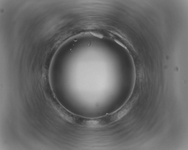 X0000080720265200612151206