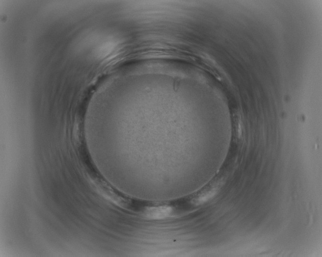 X0000080720266200612151206