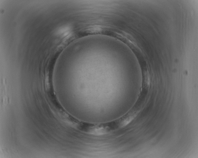 X0000080720267200612151206