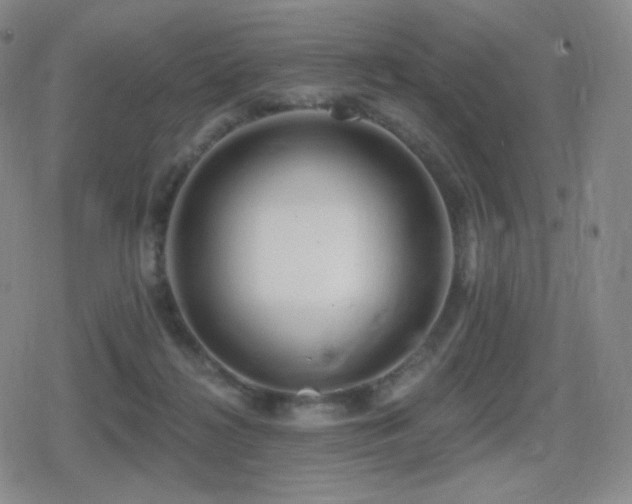 X0000080720268200612151206