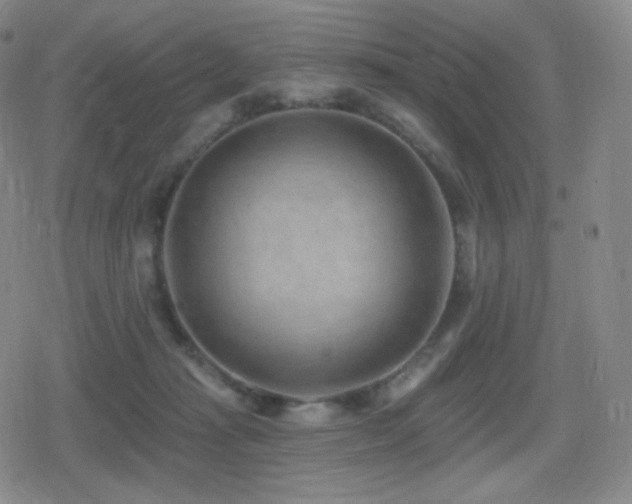 X0000080720269200612151206