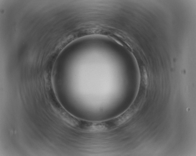 X0000080720270200612151206