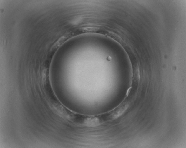 X0000080720271200612151206