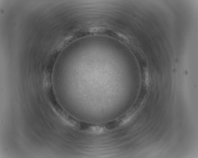 X0000080720272200612151206