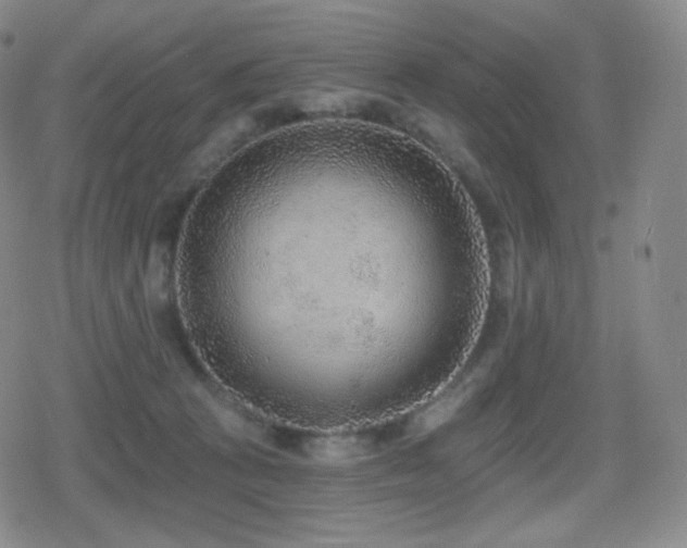 X0000080720273200612151206