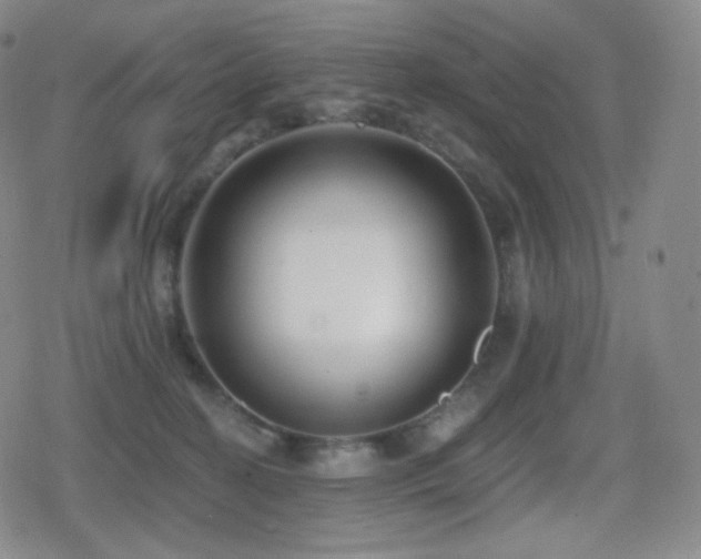 X0000080720274200612151206