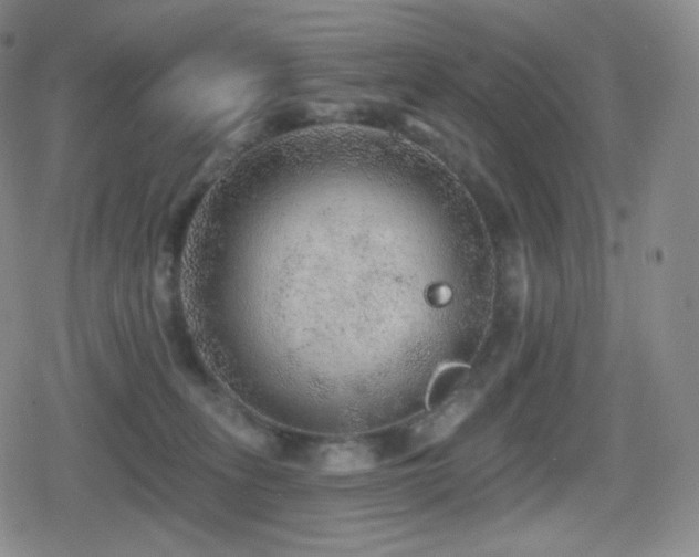 X0000080720275200612151206