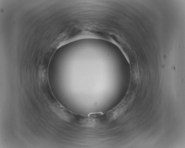 X0000080720276200612151206