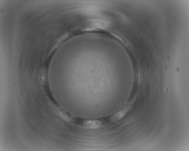 X0000080720277200612151206