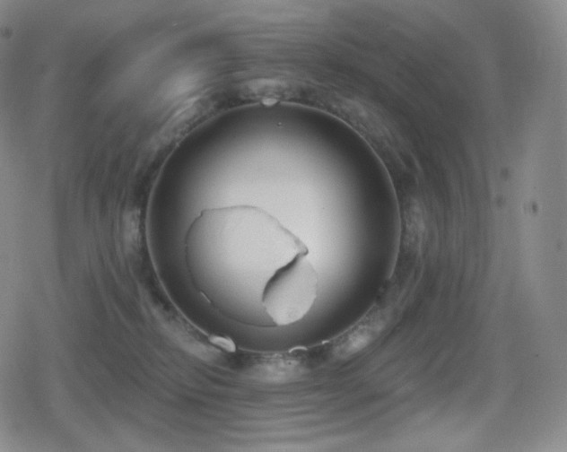 X0000080720278200612151206