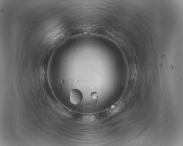 X0000080720279200612151206