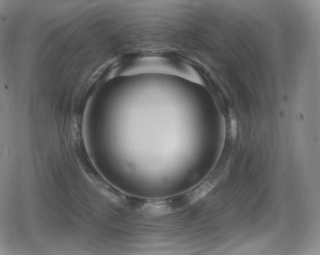 X0000080720280200612151206