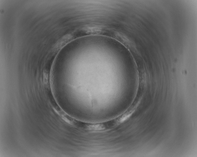 X0000080720281200612151206