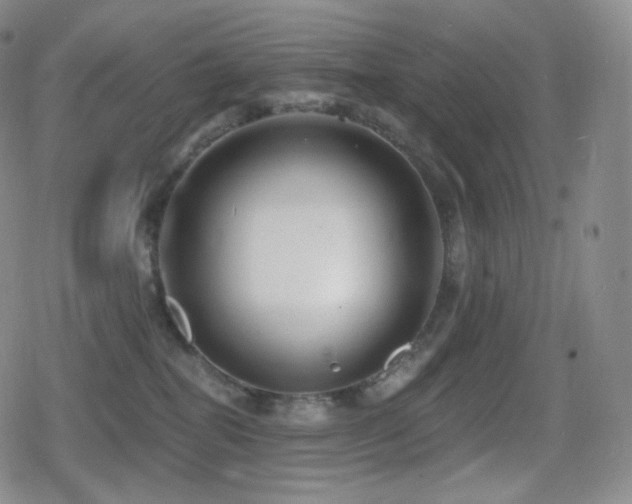 X0000080720282200612151206