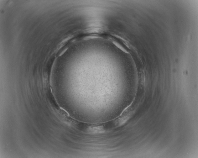 X0000080720283200612151206