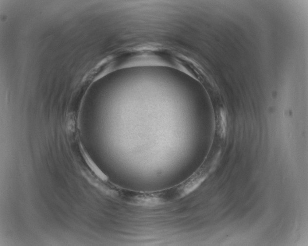 X0000080720284200612151206