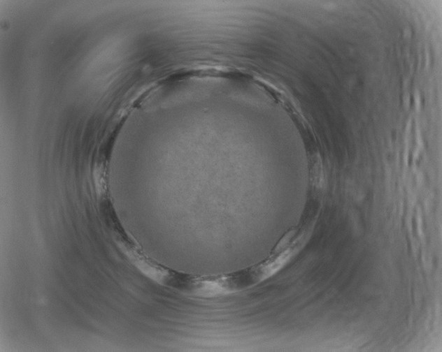 X0000080720285200612151206