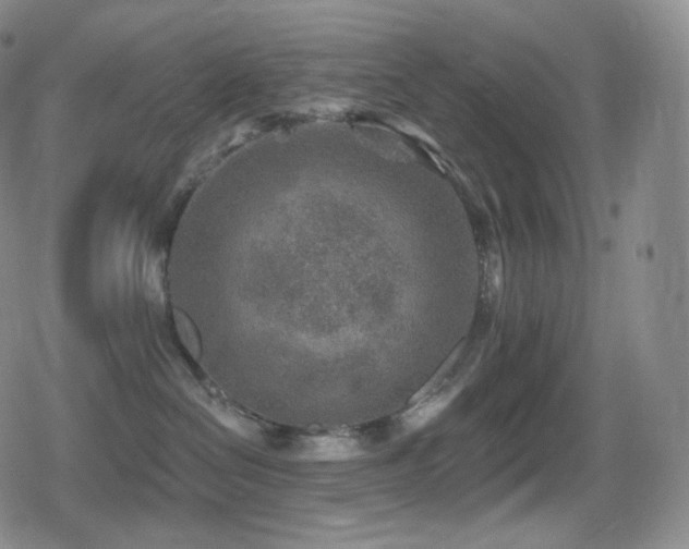 X0000080720286200612151206