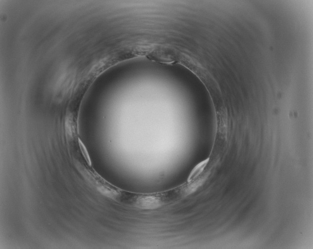 X0000080720287200612151206