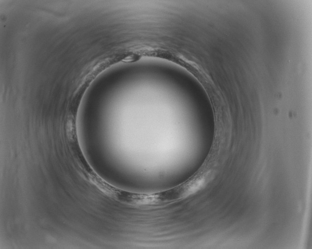 X0000080720288200612151206