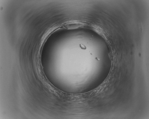 X0000080720289200612151206