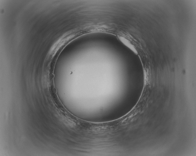 X0000080720291200612151206