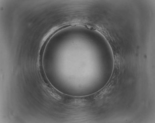 X0000080720292200612151206