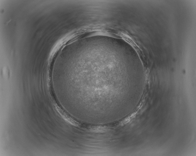 X0000080720293200612151206