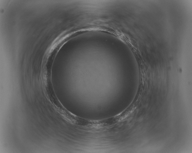 X0000080720295200612151206