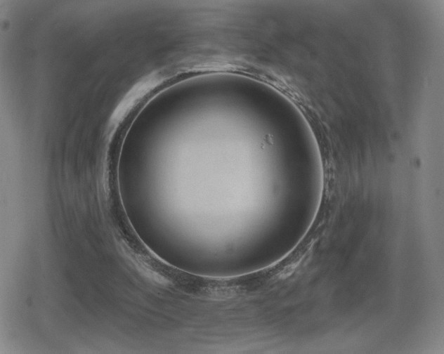 X0000080720296200612151206