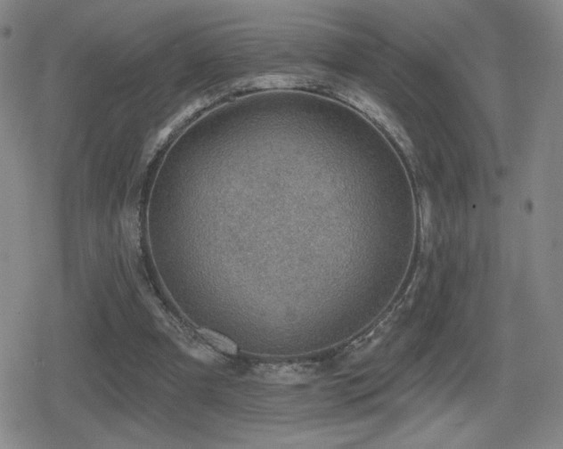 X0000080720297200612151206