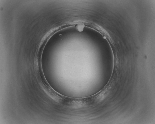 X0000080720298200612151206