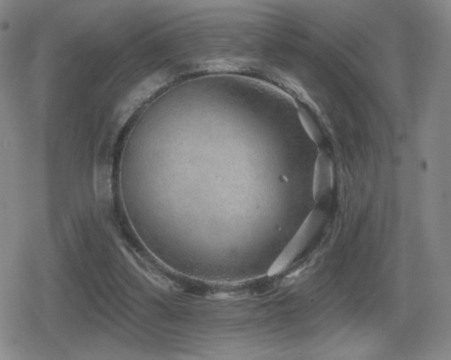 X0000080720299200612151206