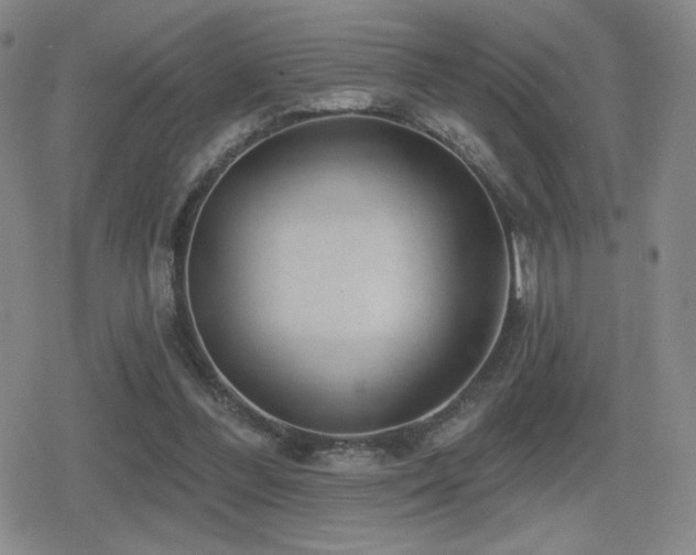 X0000080720300200612151206