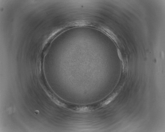 X0000080720301200612151205