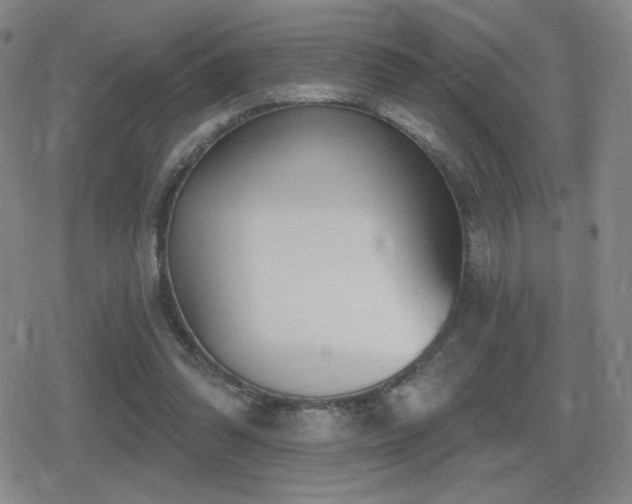 X0000080720302200612151205