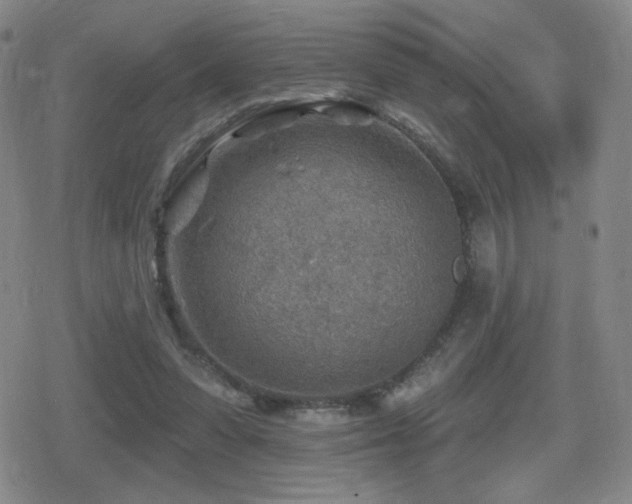 X0000080720303200612151205