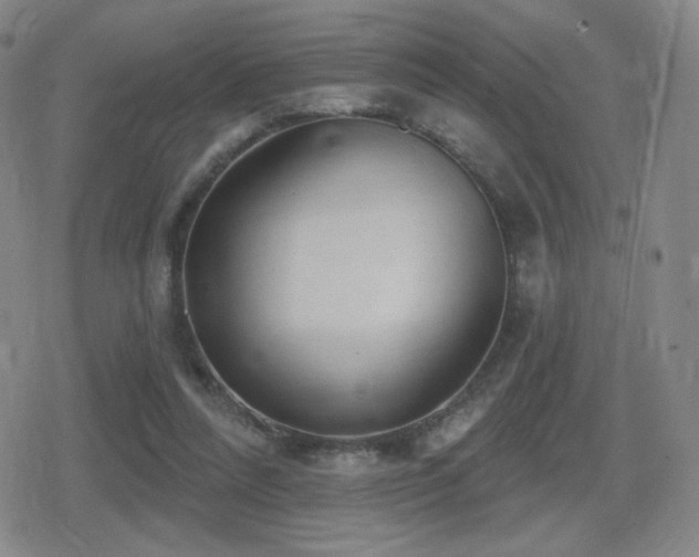 X0000080720304200612151205