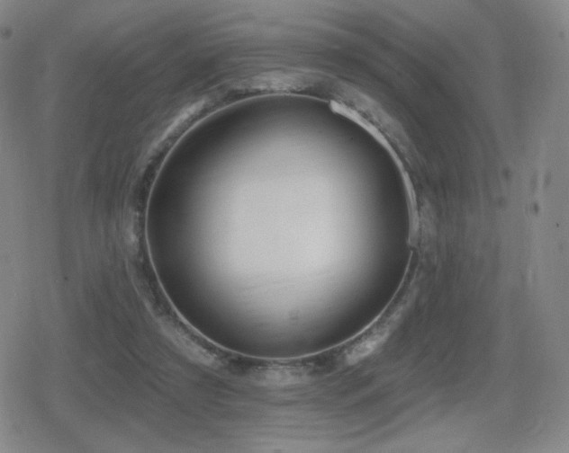 X0000080720305200612151205