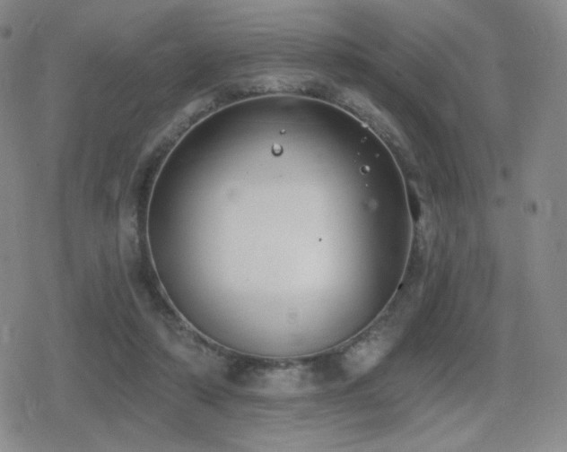 X0000080720306200612151205