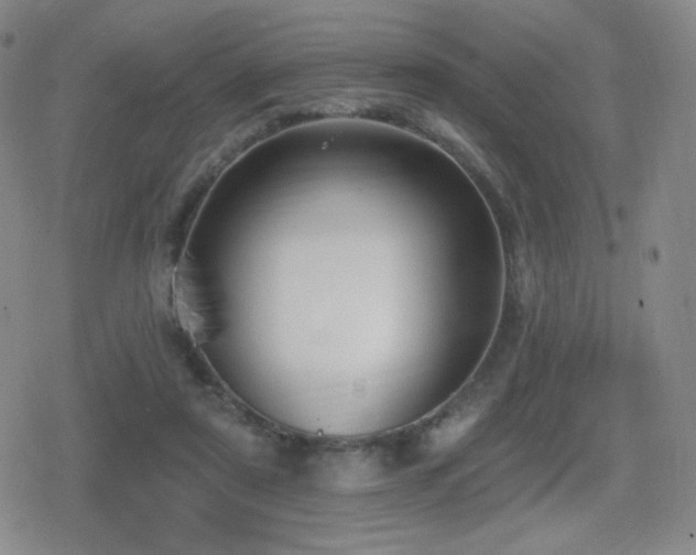 X0000080720307200612151205