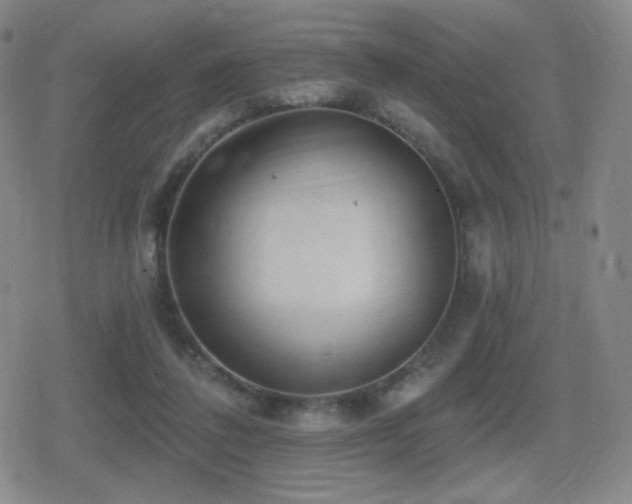 X0000080720308200612151205