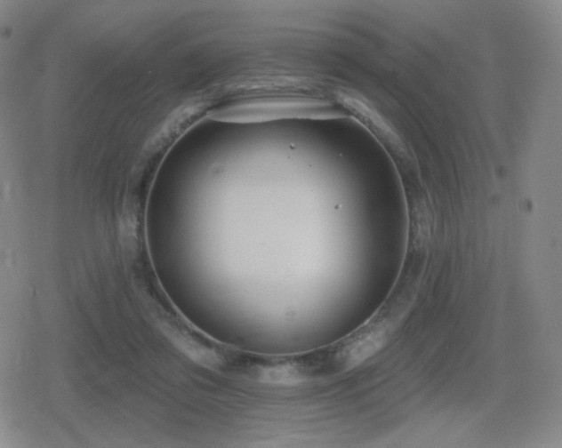 X0000080720309200612151205