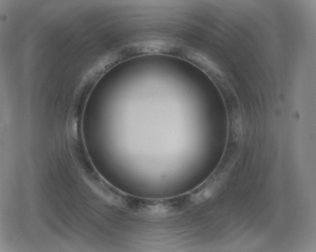 X0000080720310200612151205