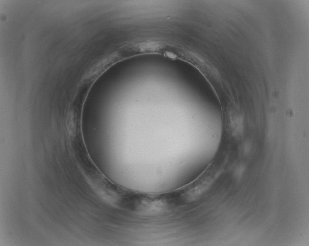 X0000080720311200612151205