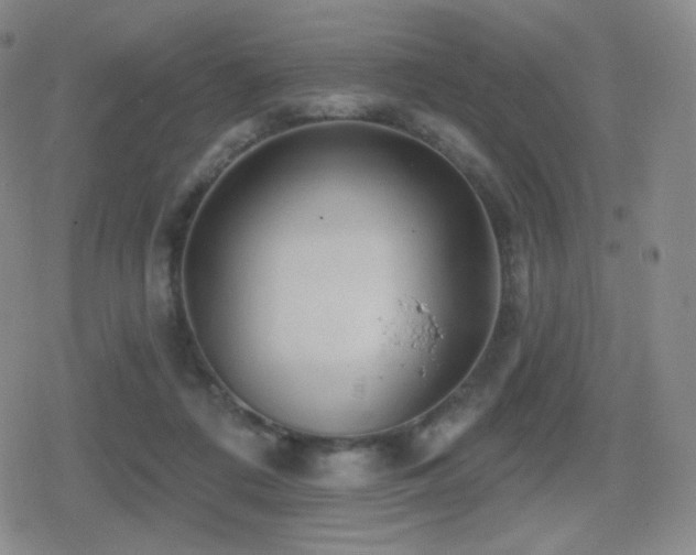 X0000080720312200612151205