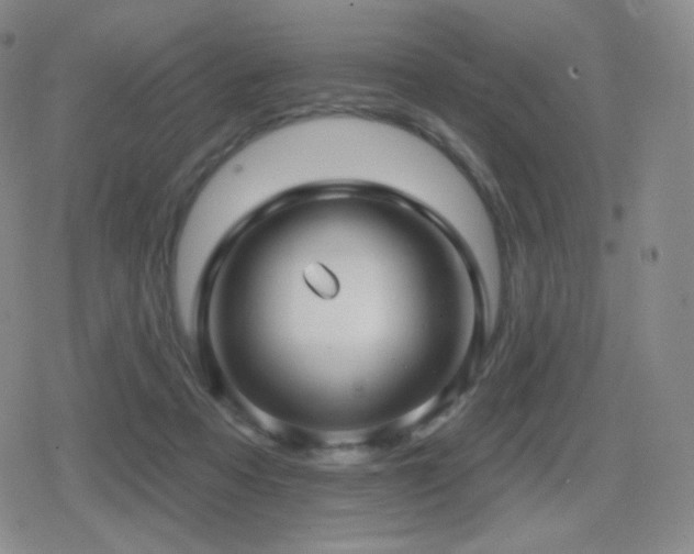 X0000080720313200612151205