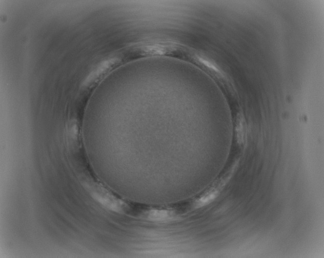 X0000080720314200612151205